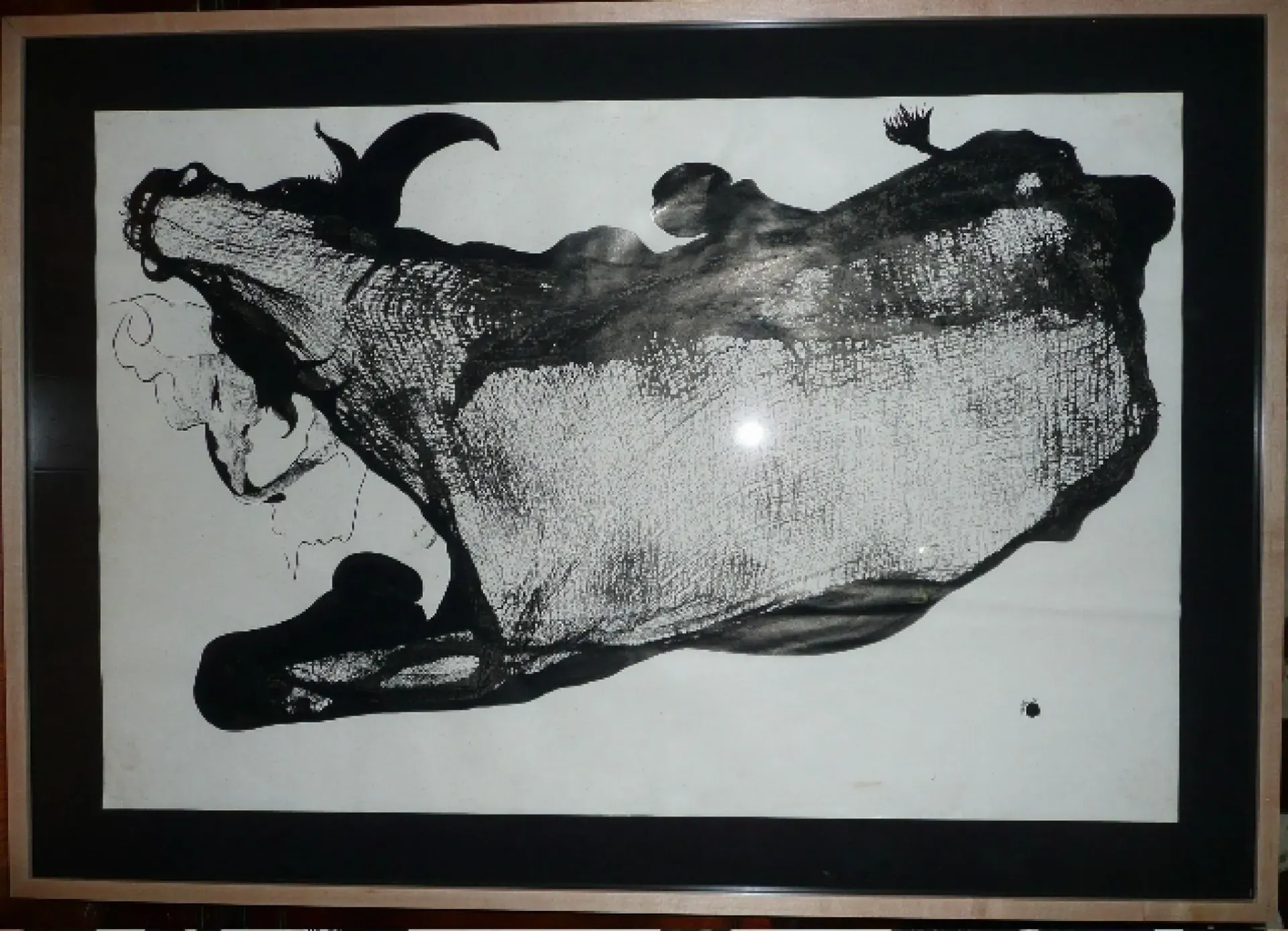 Dying Bull, 1978