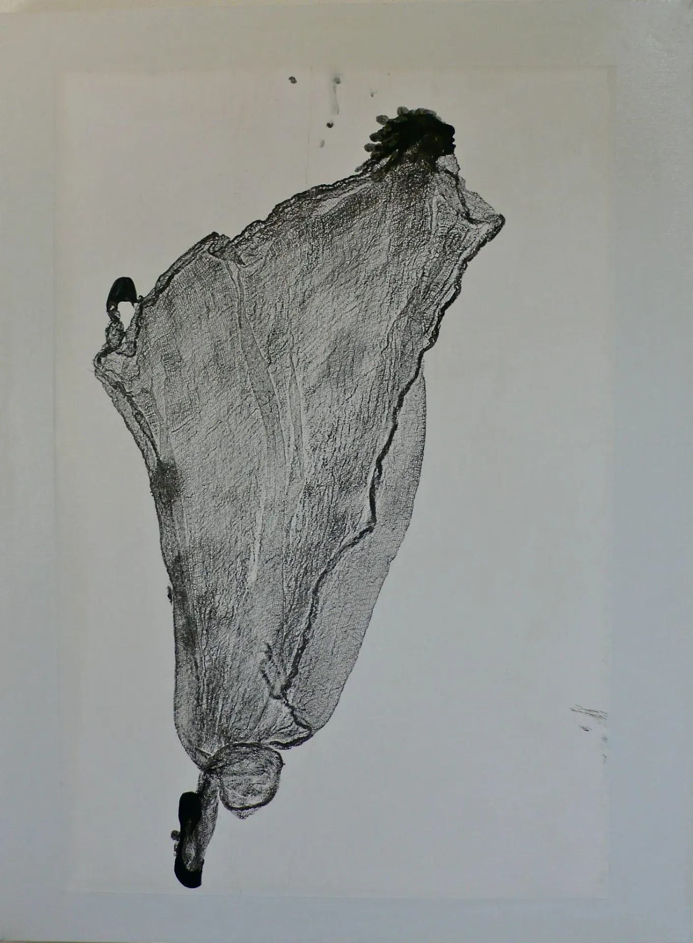 Giant Step, 2017
